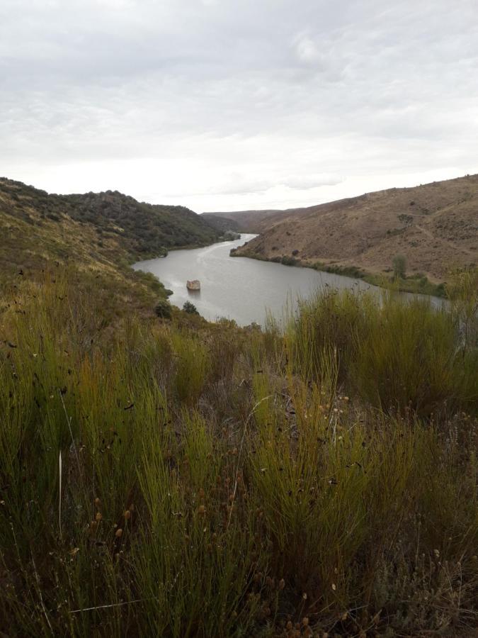 Apartmán Mirador Del Duero Zamora Exteriér fotografie