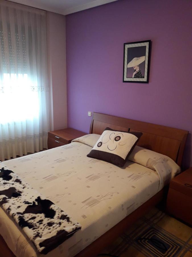 Apartmán Mirador Del Duero Zamora Exteriér fotografie